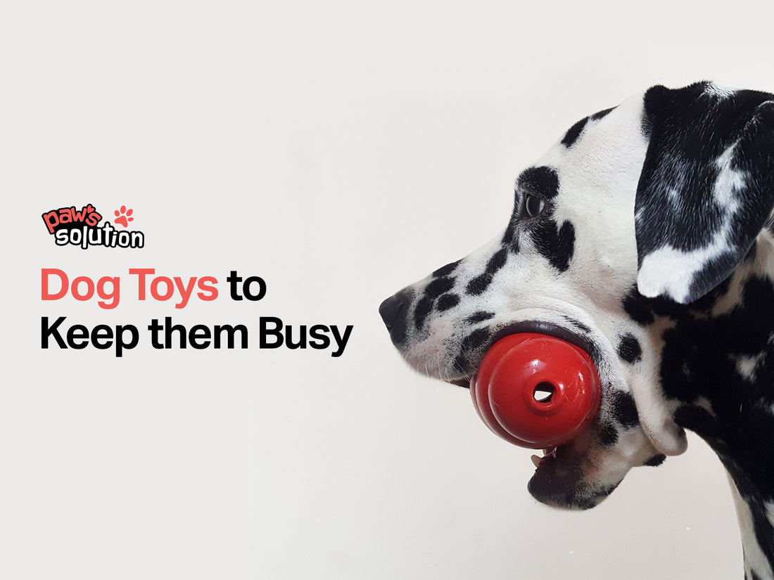 Dog Toys to Keep Them Busy: Engaging Your Furry Friend