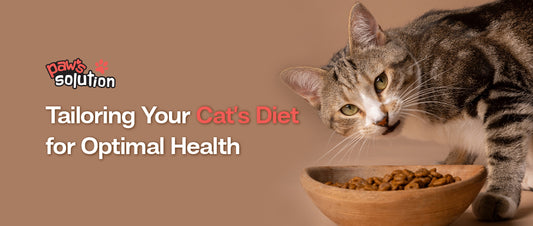 Customized pet nutrition