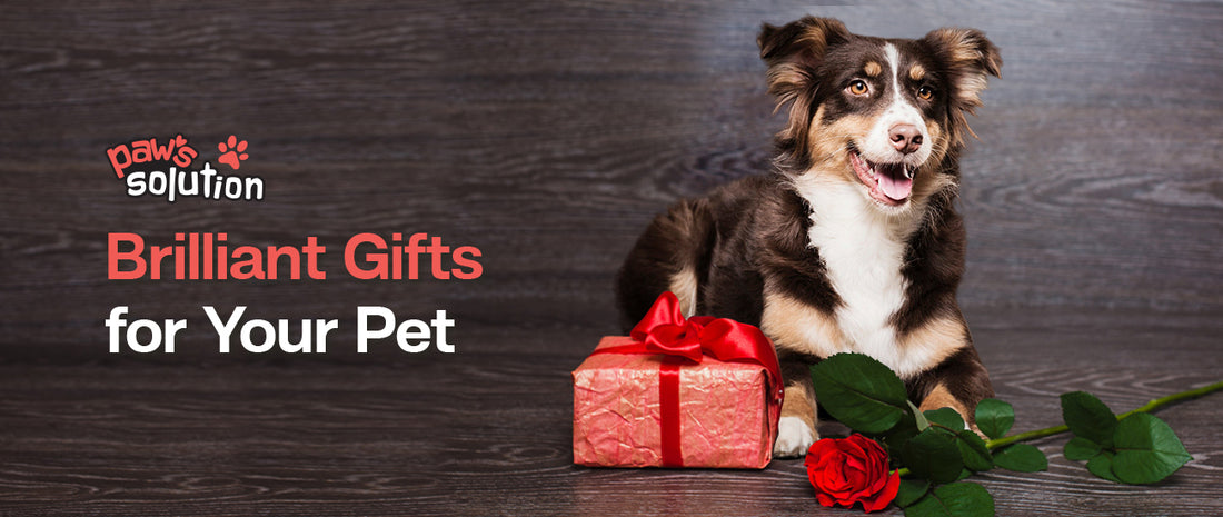 Gifts for Pets