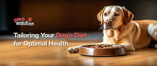 Dog’s Nutritional Needs