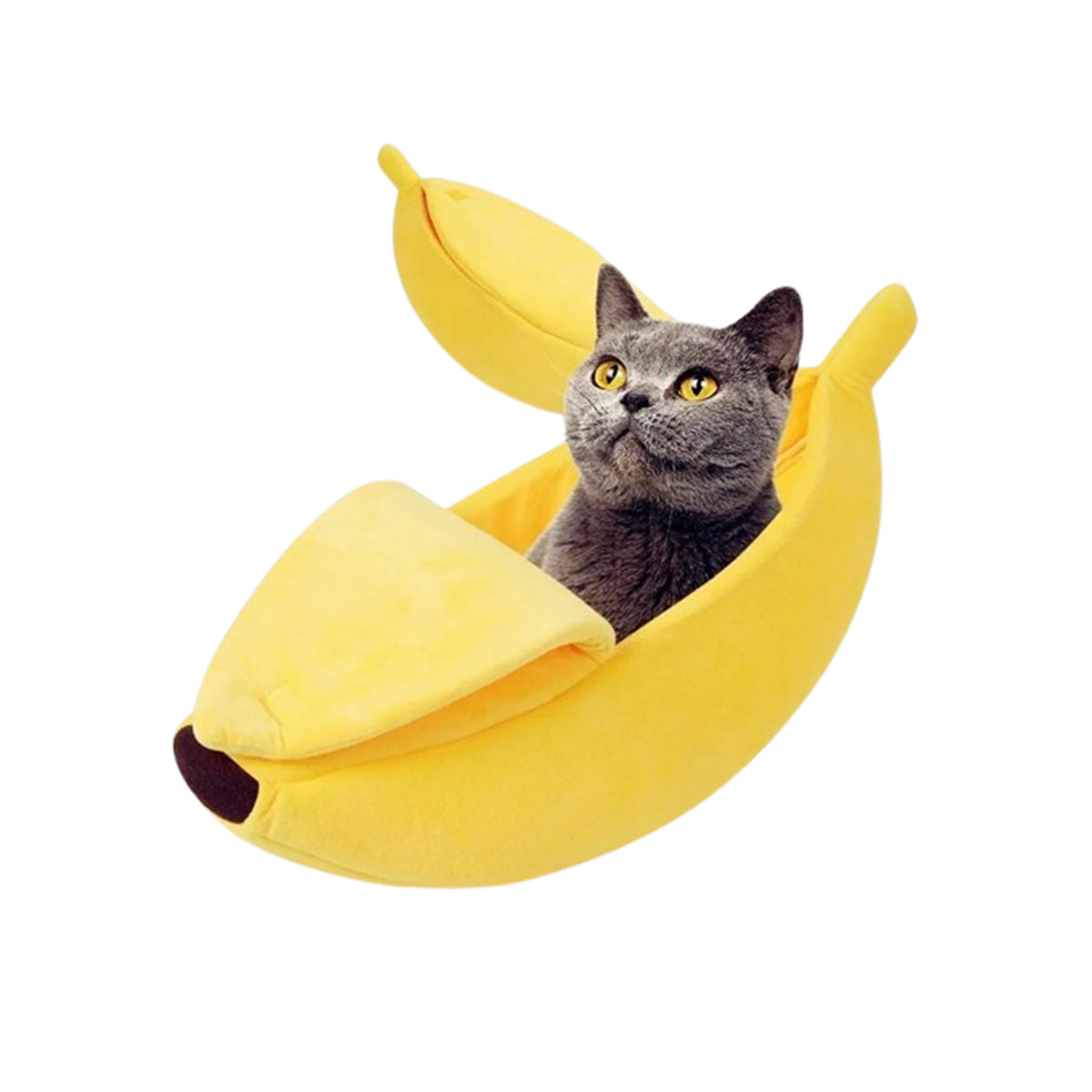 Banana Cat Bed: Cozy, Portable, Multicolor - Paws Solution