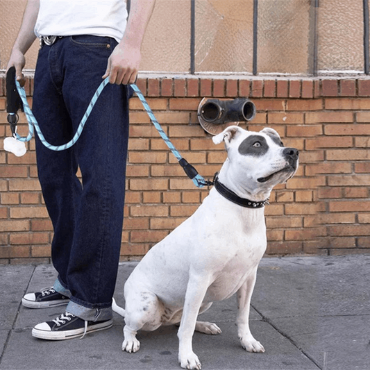 150/200/300cm Strong Dog Leash Reflective Pet Leashes Long Lanyard Walking Traction Rope for Puppy Small Medium Large Big Dogs