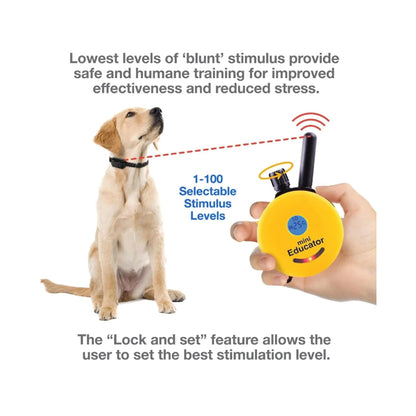 Remote Humane Dog Training Collar: Safe Stimulation - Paws Solution