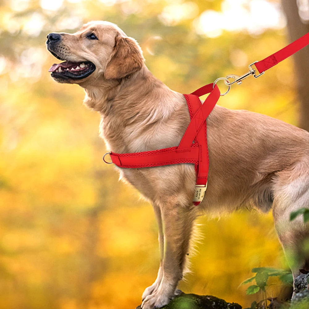 Personalized No-Pull Dog Harness: Adjustable Vest - Paws Solution