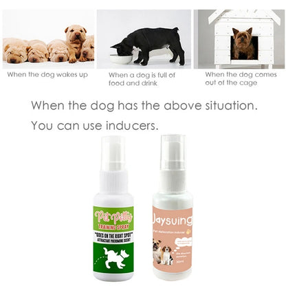 30ml Pet Toilet Training Spray: Outdoor Training Tool - Paws Solution