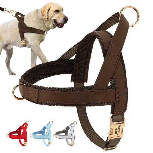 Personalized No-Pull Dog Harness: Adjustable Vest - Paws Solution