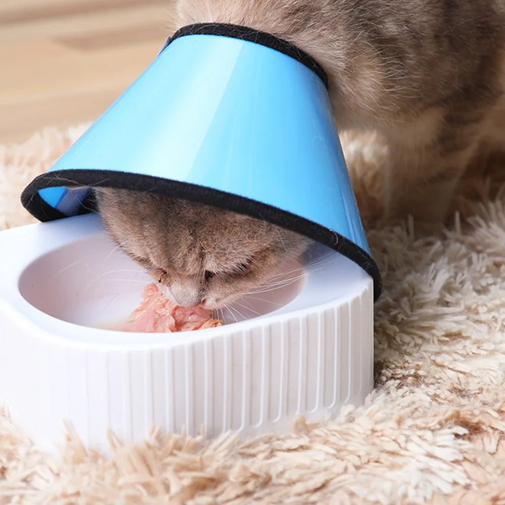 Protective Recovery Collar for Cats and Dogs, Elizabethan Style - Paws Solution