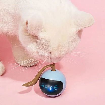 Interactive Cat Toys