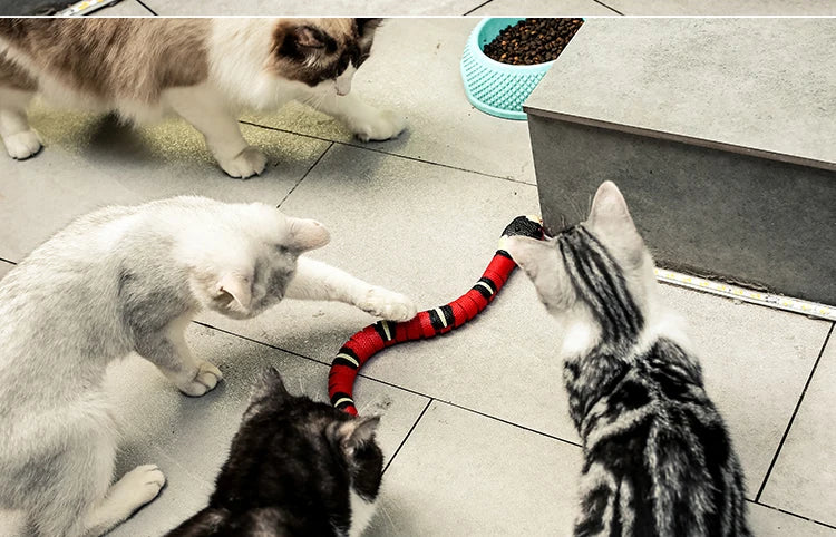 Smart Sensing Snake Cat Toy