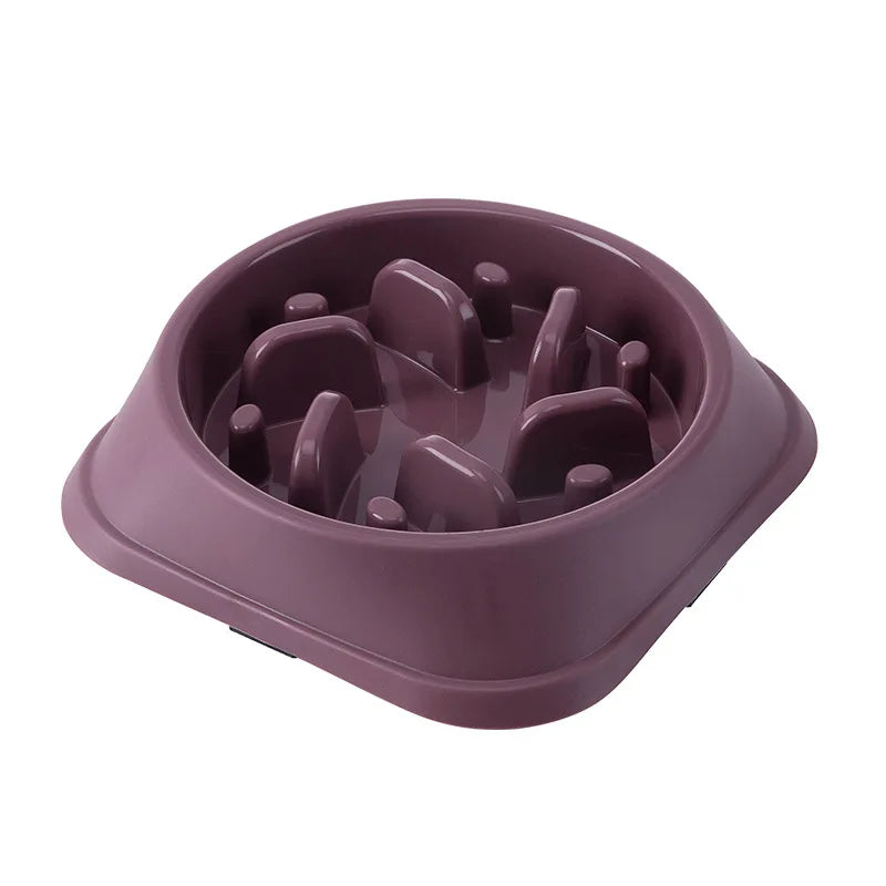 Pet Slow Feeder Bowl, Anti-Choking, Non-Slip, Multiple Colors - Paws Solution