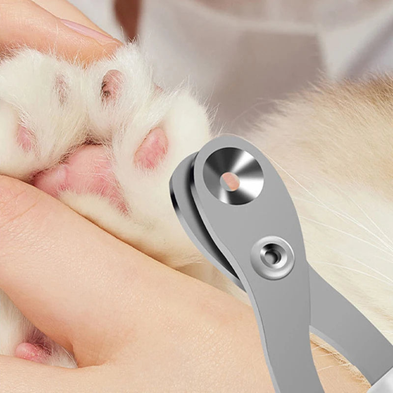 Professional Cat Nail Scissors - Paws Solution