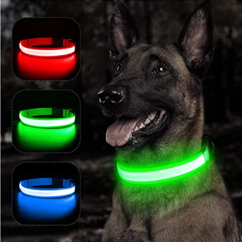 Led Glowing Dog Collar: Adjustable, Rechargeable - Paws Solution