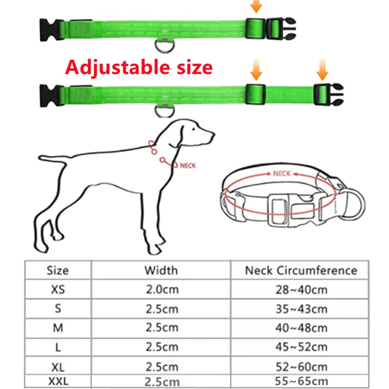 Led Glowing Dog Collar: Adjustable, Rechargeable - Paws Solution