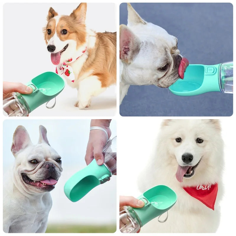 Portable Dog Water Bottle: Outdoor Travel Bowl for Dogs - Paws Solution