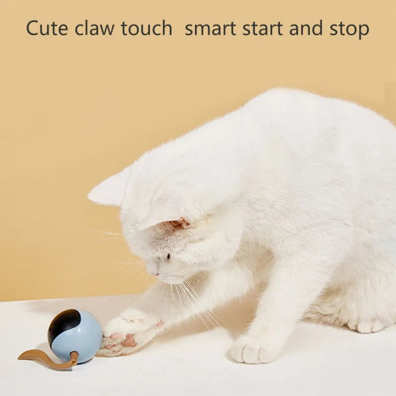 Interactive Cat Toys