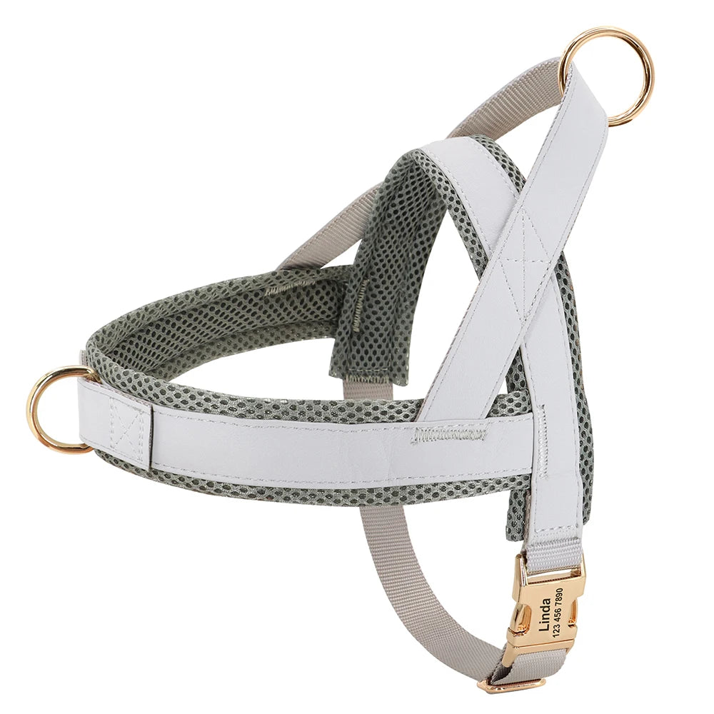 Personalized No-Pull Dog Harness: Adjustable Vest - Paws Solution