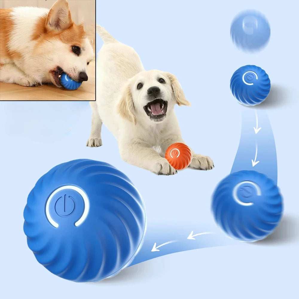 Smart ball for dogs 8