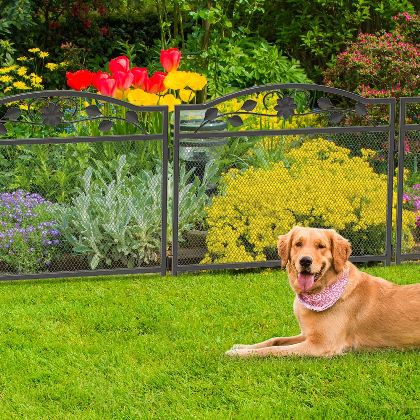 5-Panel Dog Playpen: 32 Inch Tall, Heavy Metal Construction - Paws Solution