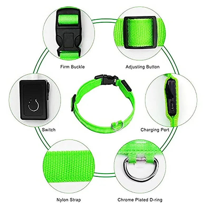 Led Glowing Dog Collar: Adjustable, Rechargeable - Paws Solution