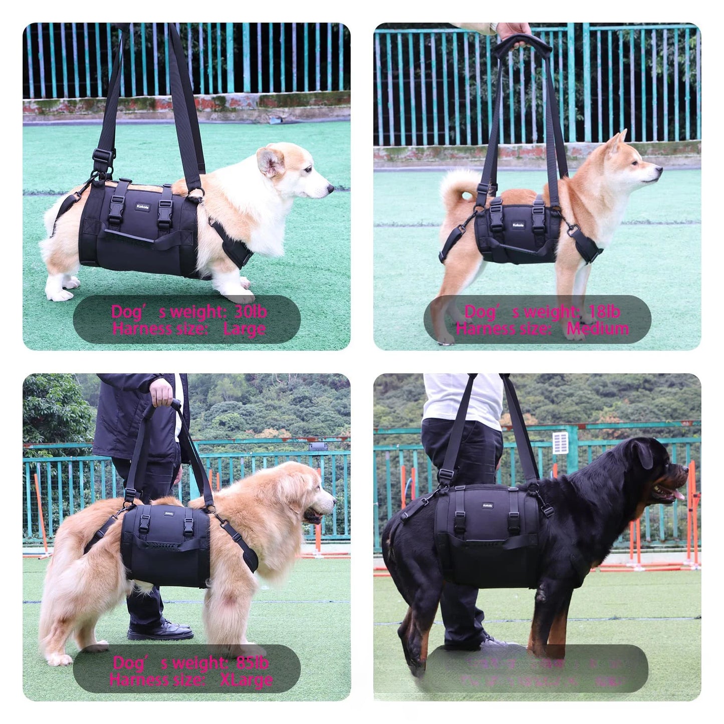 Portable Dog Sling for Back Legs, Hip Support and Rehabilitation Harness - Paws Solution