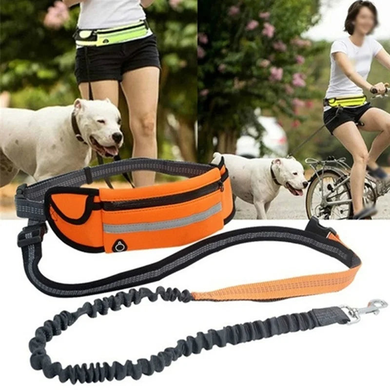 Running Dog Leash: Hands-Free Nylon Harness - Paws Solution