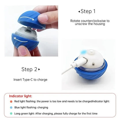 Smart ball for dogs 2