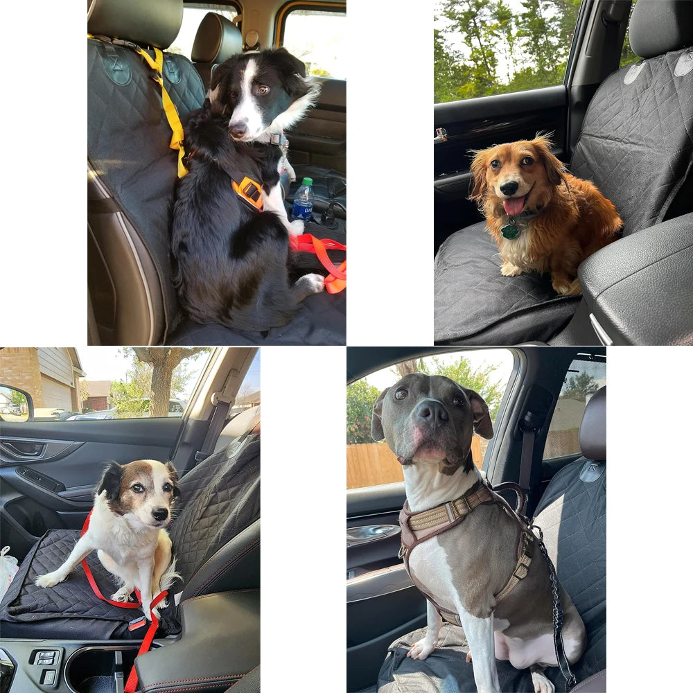 Waterproof Dog Car Seat Cover for Cars, Trucks & SUVs - Paws Solution