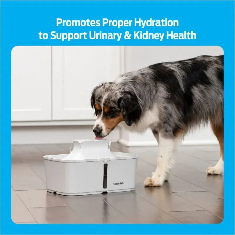 Pet Fountain: Automatic, Filtered, Promotes Hydration - Paws Solution