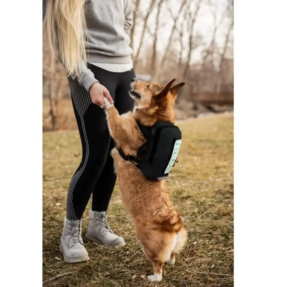 Portable Dog Backpack with Harness & Storage Lightweight Dog Carrier Walking and Hiking - Paws Solution