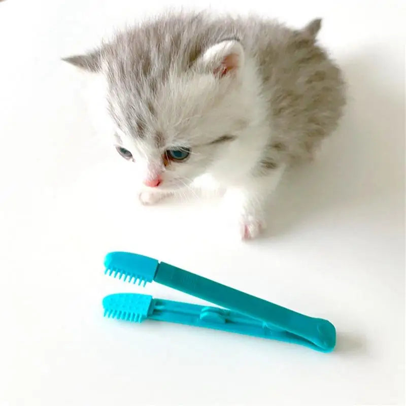 Pet Eye Brush Tear Stain Remover Comb For Cats Dogs Cleaning Grooming Comb Flexible Silicone Design Soft Bristles Pet Supplies - Paws Solution