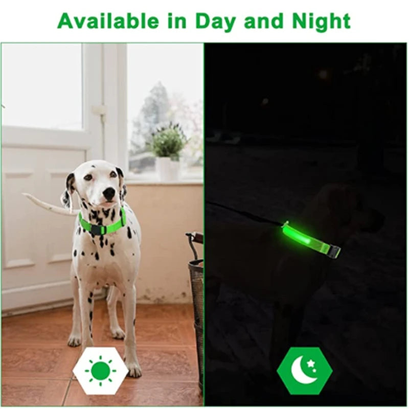 Led Glowing Dog Collar: Adjustable, Rechargeable - Paws Solution