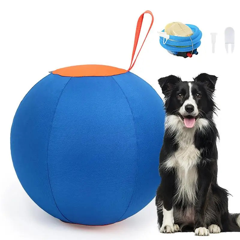 Outdoor Inflatable Dog Ball Toy, Large Blue Pet Toy for Parks and Lawns - Paws Solution