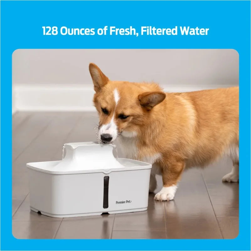 Pet Fountain: Automatic, Filtered, Promotes Hydration - Paws Solution