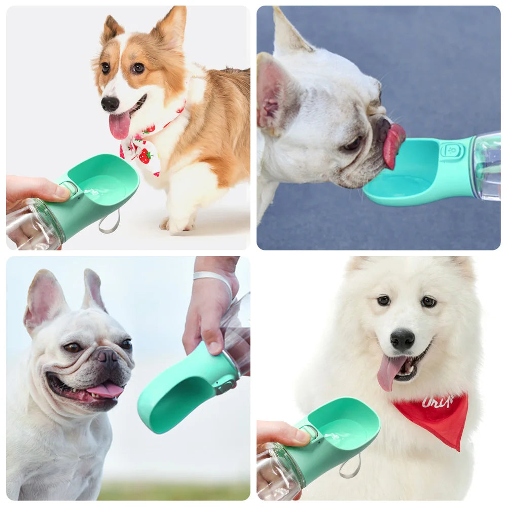 Dog Water Dispenser - Portable and Leakproof for Small to Large Dogs & Cats | Ideal for Outdoor Walks, French Bulldogs, Chihuahuas, and More - Paws Solution