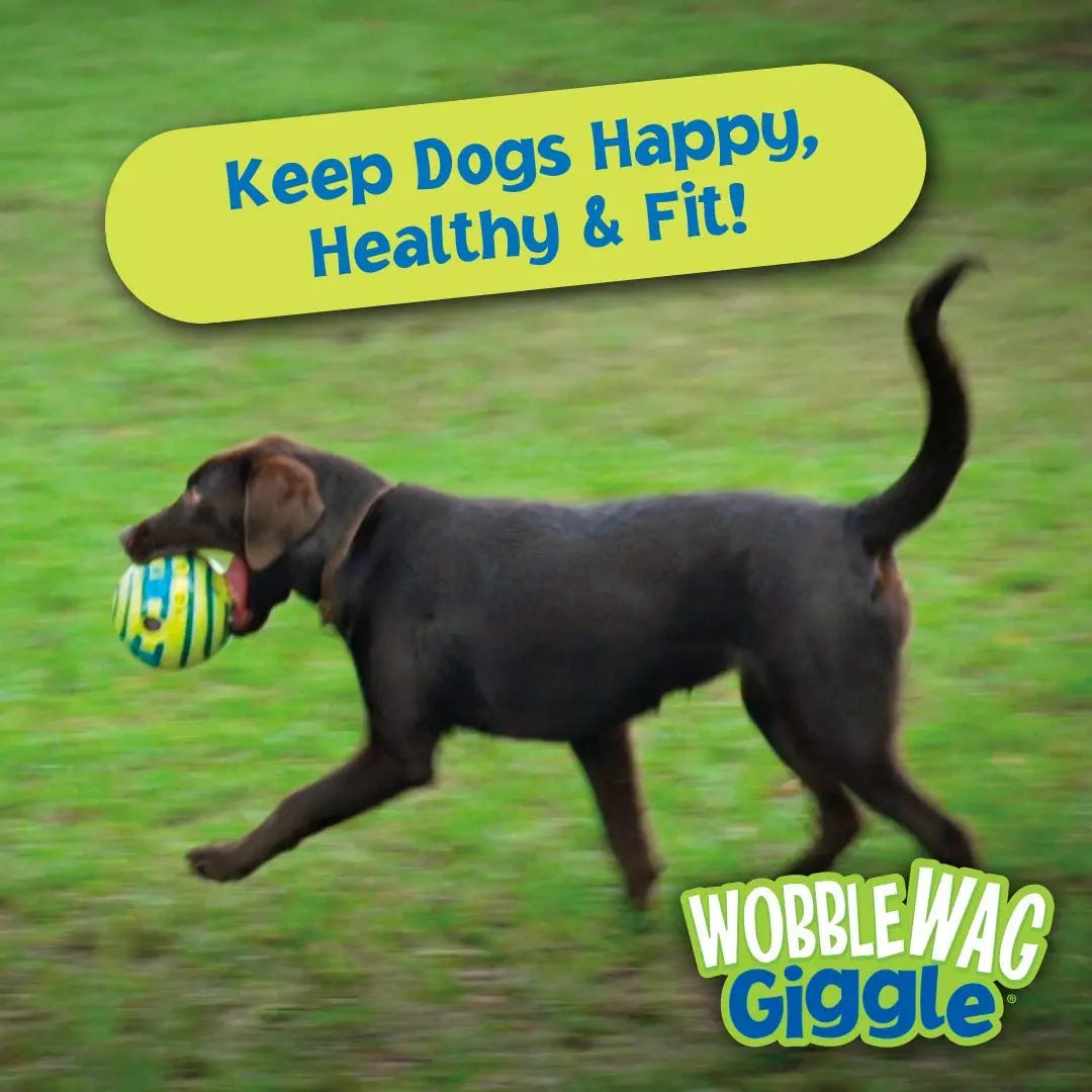 Weeble Wobble Ball for Dogs - Interactive Dog Toy: Wobble Wag Giggle Ball, Fun Sounds When Rolled or Shaken, Pets Know Best, As Seen On TV - Paws Solution