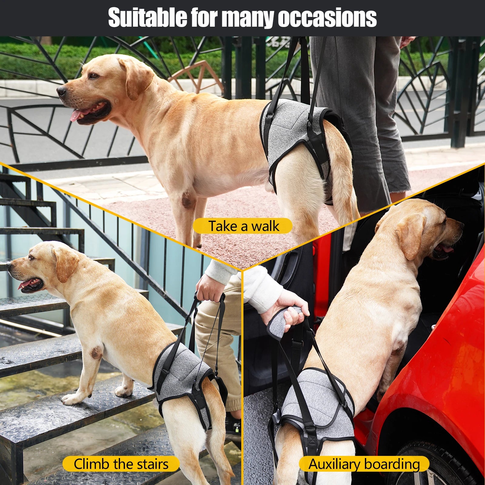 Dog Lift Harness: Adjustable, Padded Support for Large Dogs - Paws Solution