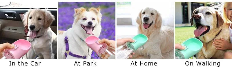 Dog Water Dispenser - Portable and Leakproof for Small to Large Dogs & Cats | Ideal for Outdoor Walks, French Bulldogs, Chihuahuas, and More - Paws Solution