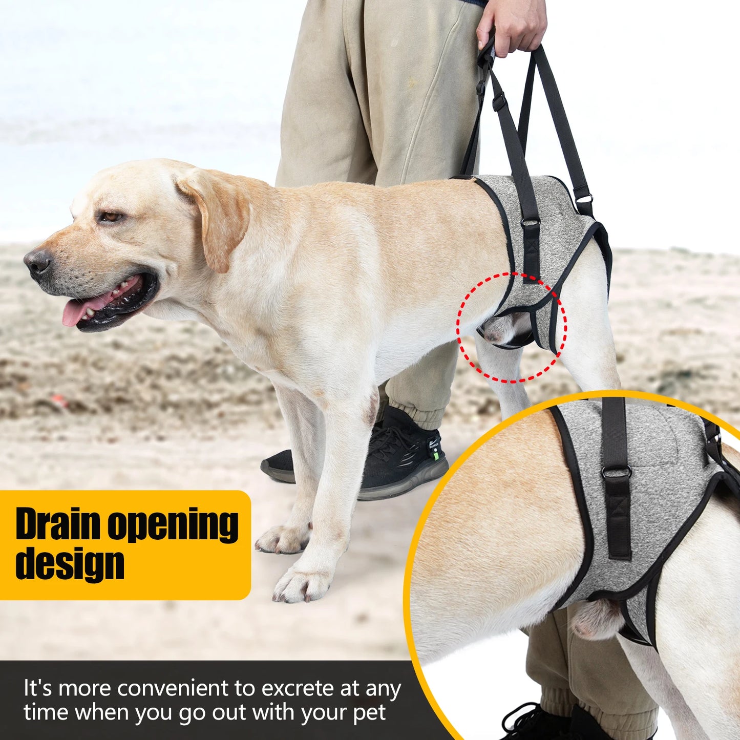 Dog Lift Harness: Adjustable, Padded Support for Large Dogs - Paws Solution