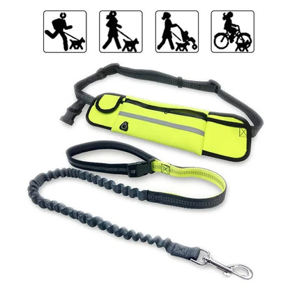 Running Dog Leash: Hands-Free Nylon Harness - Paws Solution