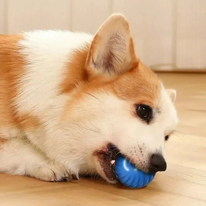 Smart ball for dogs 6