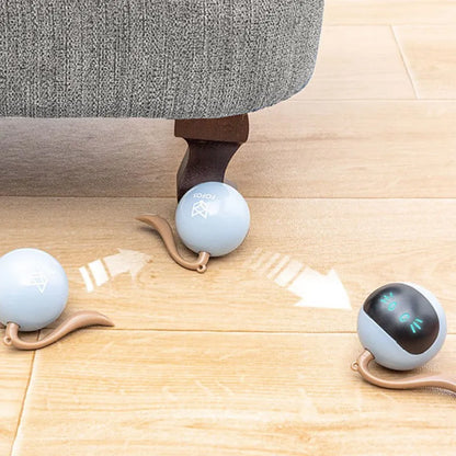 Interactive Cat Toys