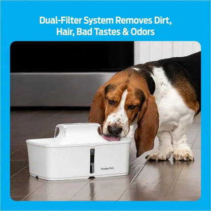 Pet Fountain: Automatic, Filtered, Promotes Hydration - Paws Solution