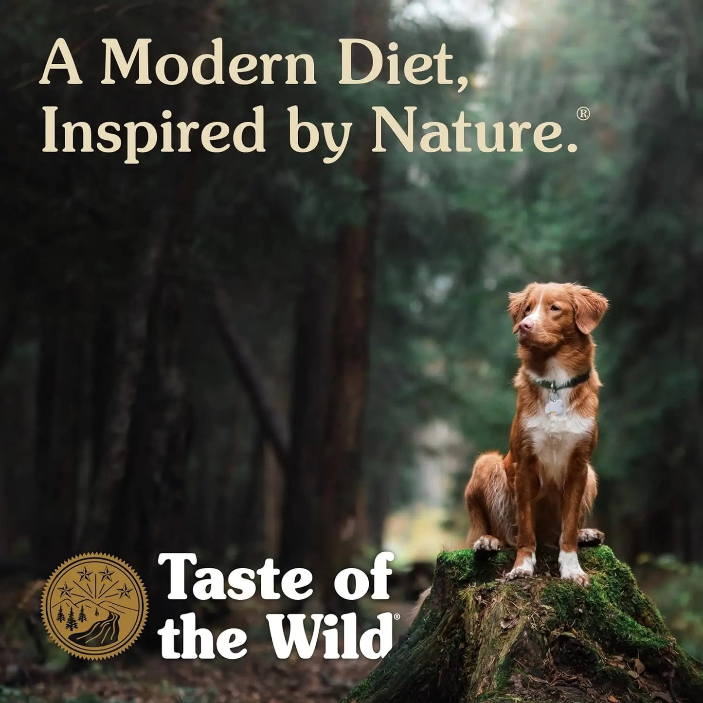 Taste of the Wild Pacific Stream Dry Dog Food, Smoke-Flavored Salmon, 28 lb - Paws Solution