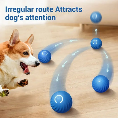 Smart ball for dogs 11