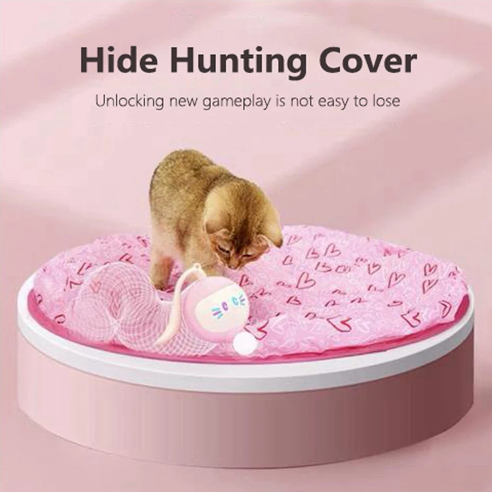 Interactive Cat Toys