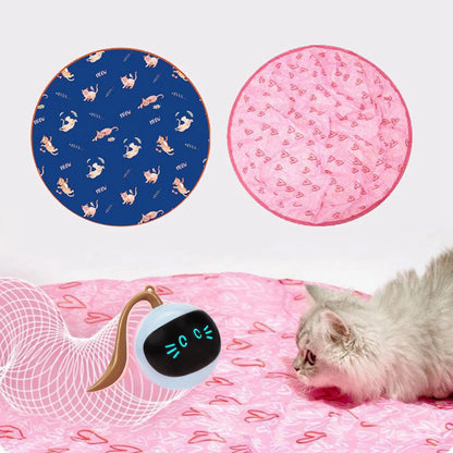 Interactive Cat Toys