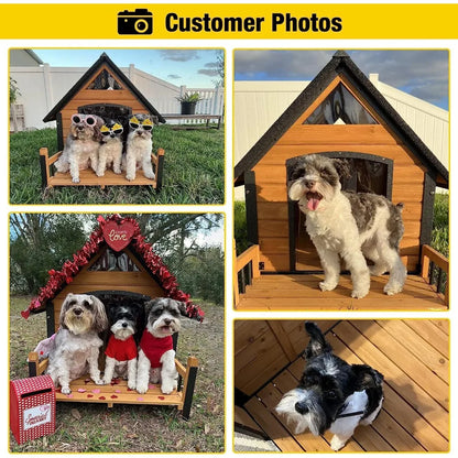 Outdoor Kennels: Bite-Proof Design, Small to Medium-Sized with Porch - Paws Solution