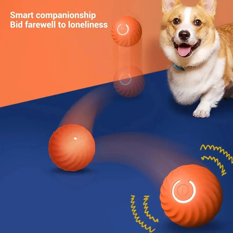 Smart ball for dogs 6