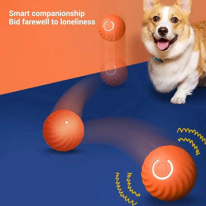 Smart ball for dogs 6