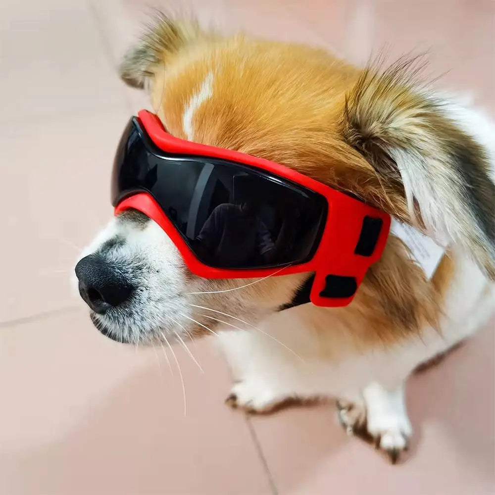 Dog Goggles with UV Protection, Adjustable for Small/Medium Dogs - Paws Solution